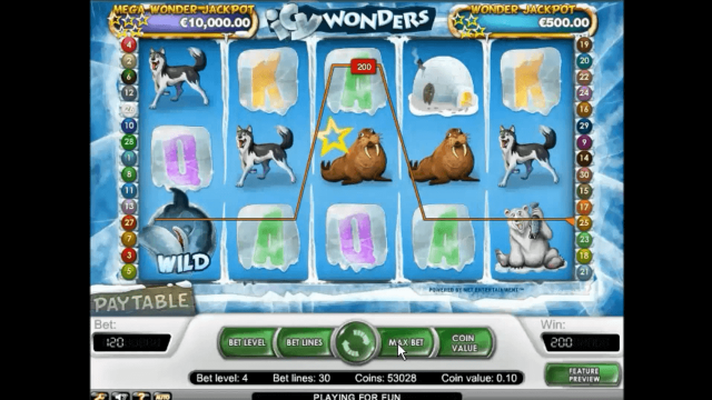 Icy Wonders - скриншот 6